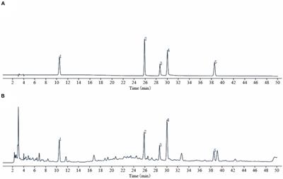 Mechanism of action of Taohong Siwu decoction in the alleviation of primary dysmenorrhea